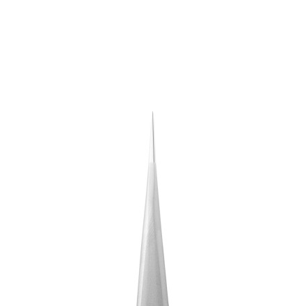 Пінцет професійний для вій професійний прямий STALEKS PRO EXPERT 41 TYPE 10 TE-41/10