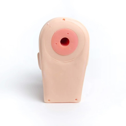 Mannequin head for eyelash extensions