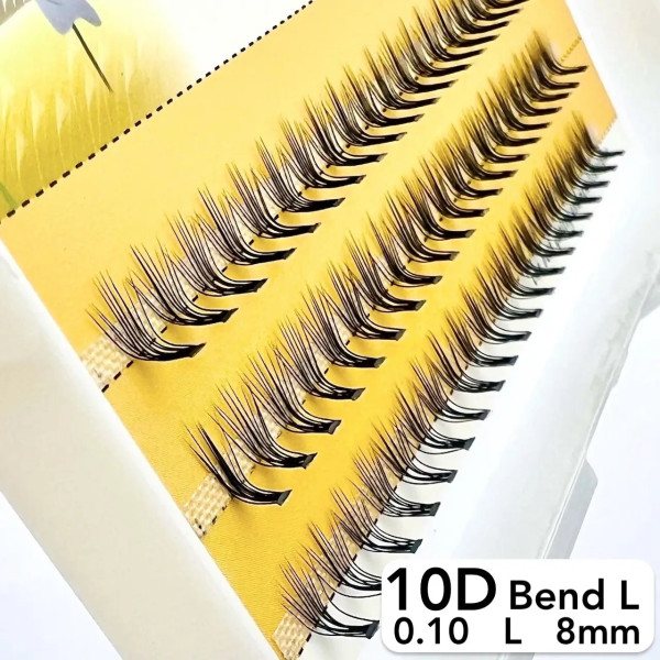 Nesura 10D eyelashes, L curve, length 8 mm, thickness 0,10 (premium)