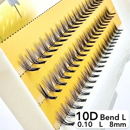 Nesura 10D eyelashes, L curve, length 8 mm, thickness 0,10 (premium)